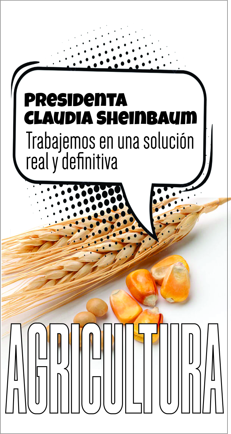 Dra. Claudia Sheinbaum. Trabajemos en una solución  real y definitiva 